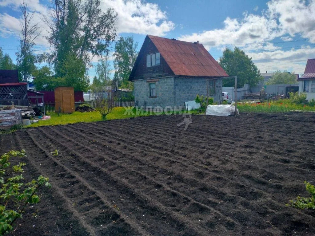 Продажа дома, Новосибирск, снт Буревестник - Фото 7