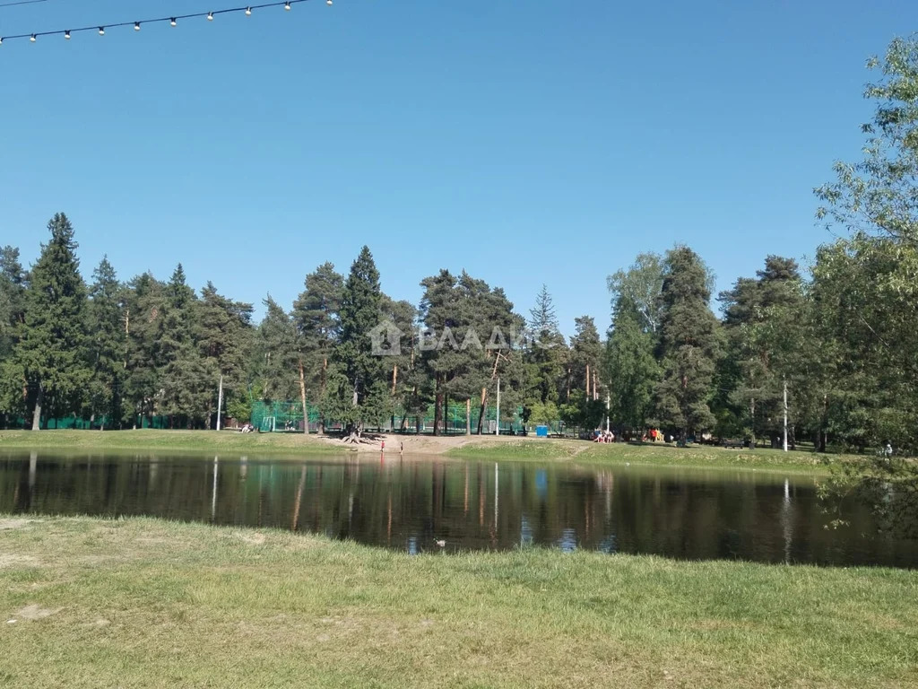 Раменский городской округ, рабочий посёлок Ильинский, Советская улица, ... - Фото 31