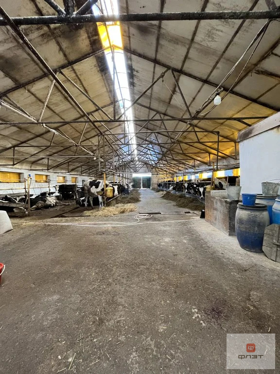 Продажа склада, Копки, Кукморский район, ул. Советская - Фото 0