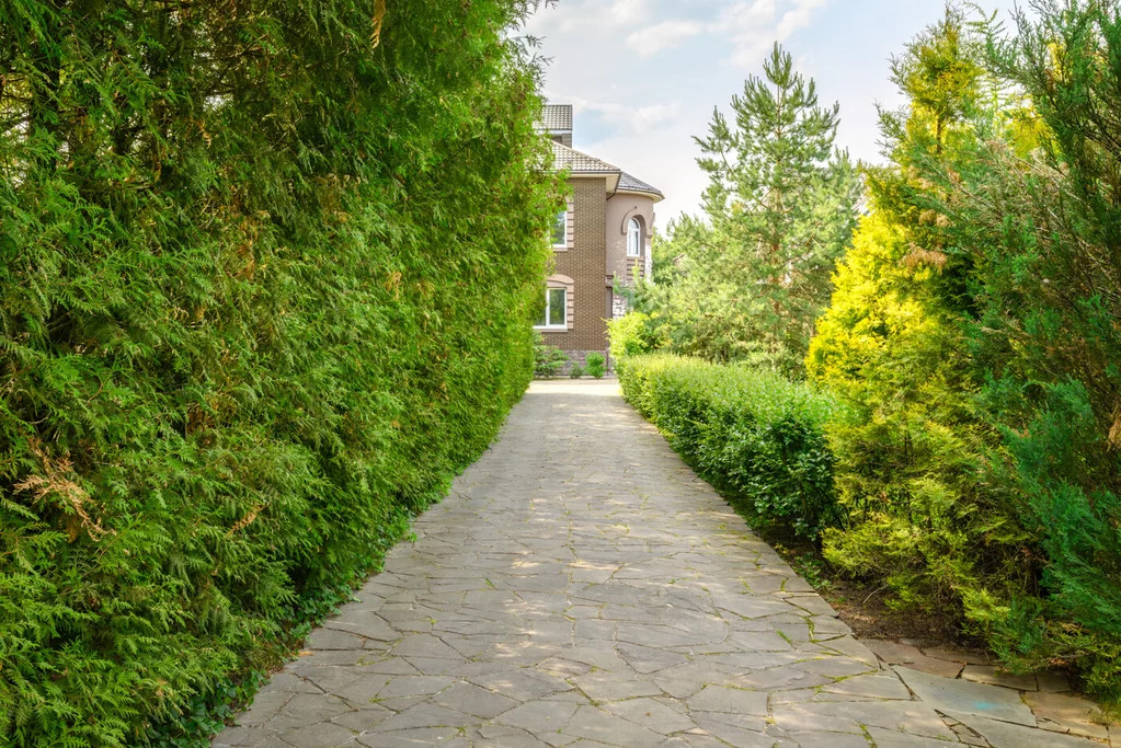 Продажа дома, Звенигород, ул. Садовая - Фото 7