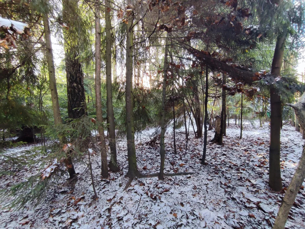 Продажа участка, Апрелевка, Наро-Фоминский район, ул. Волочаевская - Фото 2