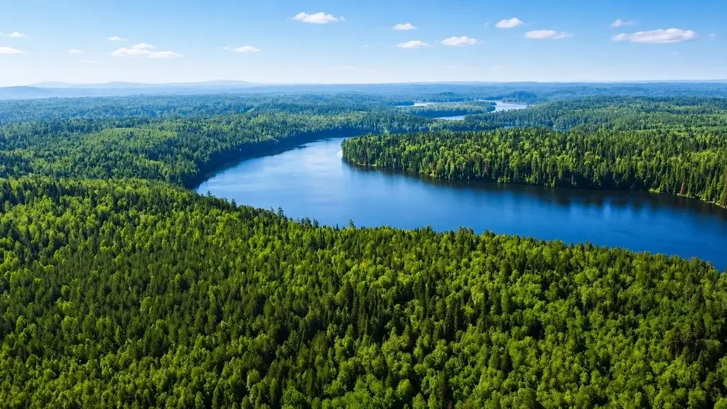 Участок на р. Куказар - Фото 11