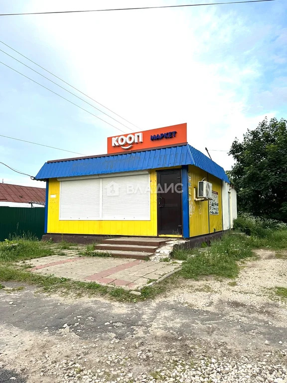 Собинский муниципальный округ, деревня Таратинка,  дом на продажу - Фото 32