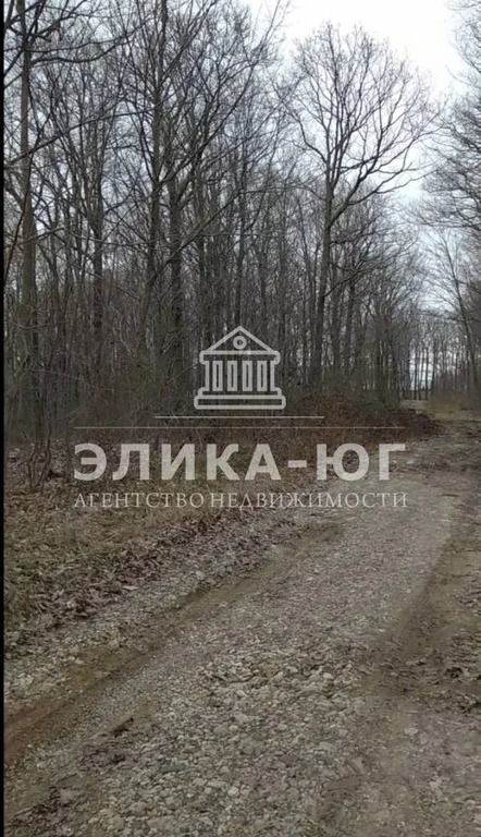 Продажа участка, Новомихайловский, Туапсинский район, Лесной-мкр. - Фото 1