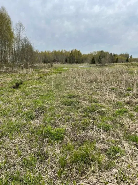 Продаю участок 25,8 га в Волоколамске - Фото 6