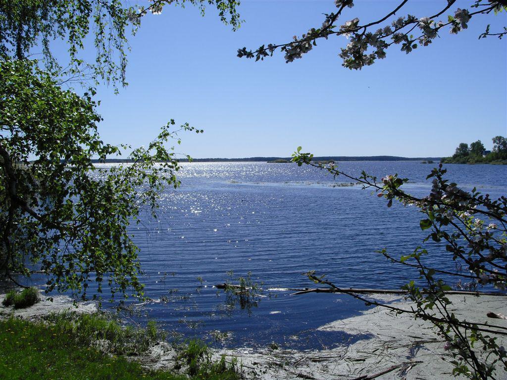 Весьегонск фото водохранилище