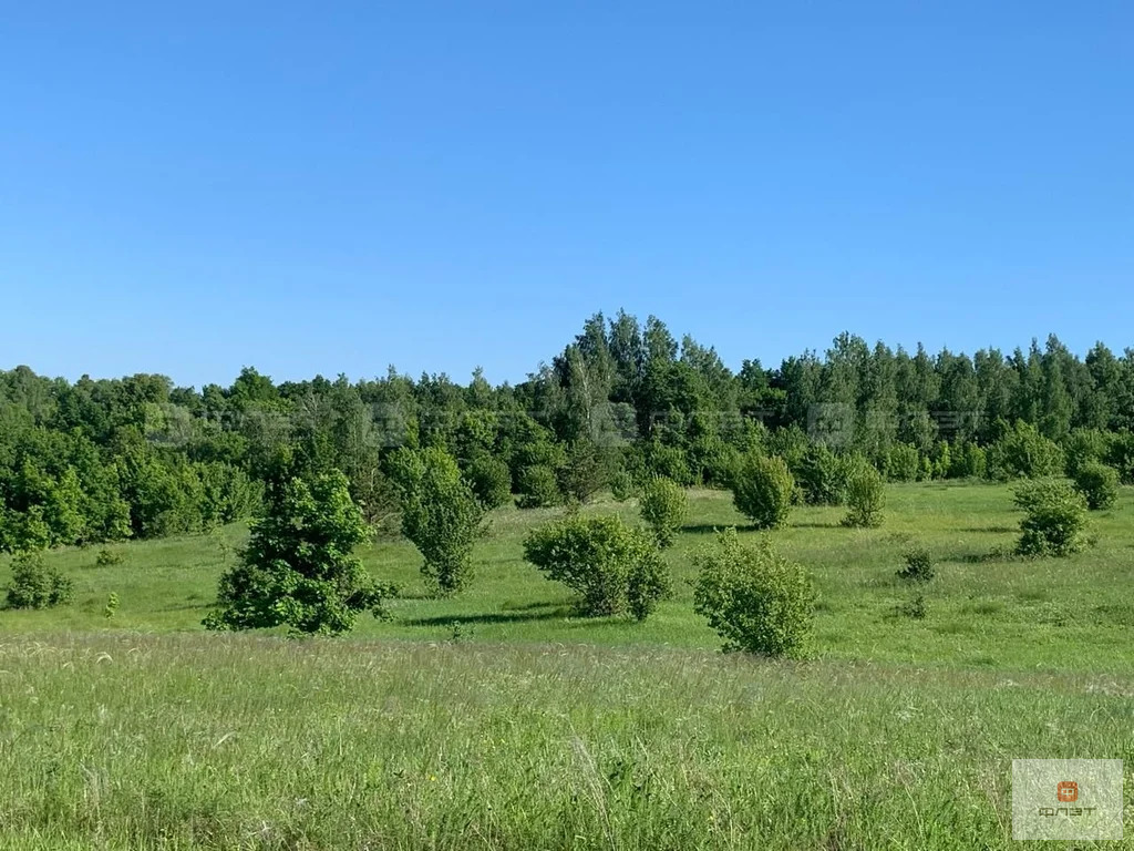 Продажа участка, Гребени, Верхнеуслонский район, ул. Нагорная - Фото 8