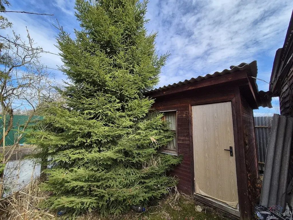 Дача 41,6 м2 на участке 6,6 сот. - Фото 11