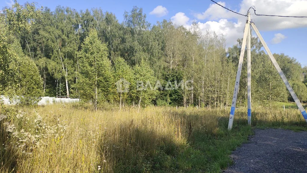 городской округ Чехов, ДНТ Васильково-2, Лесная улица,  земля на ... - Фото 0