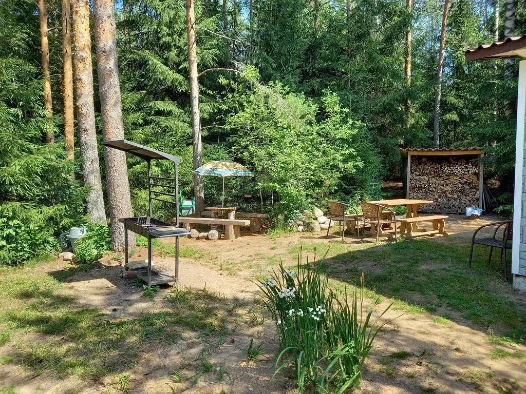 Сдать дом на Новый год - Рощино-Лебяжье - Фото 10