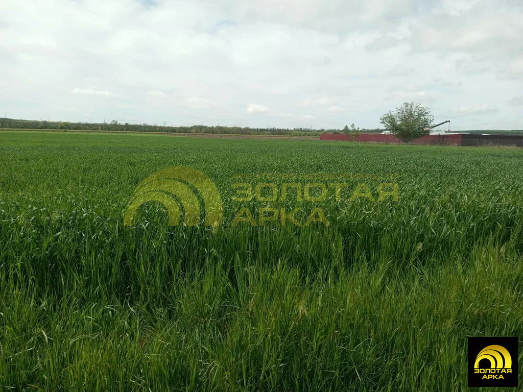 Продажа участка, Темрюкский район, Ореховая улица - Фото 2