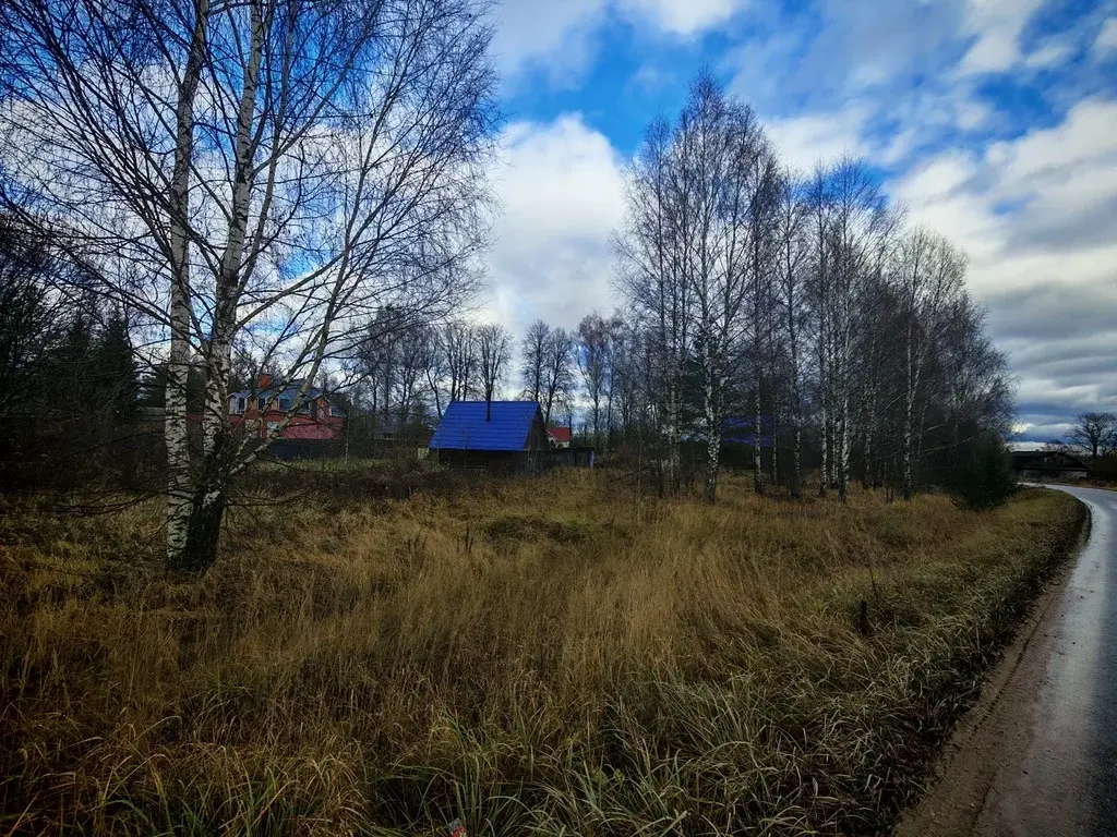 Продается участок 23 сот. ИЖС в д. Шорново - Фото 9