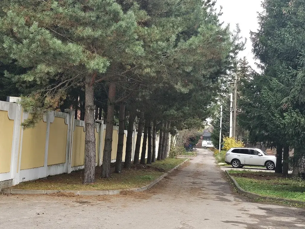 Продажа участка ижс 9 сот на Рублевке в Солослово - Фото 13