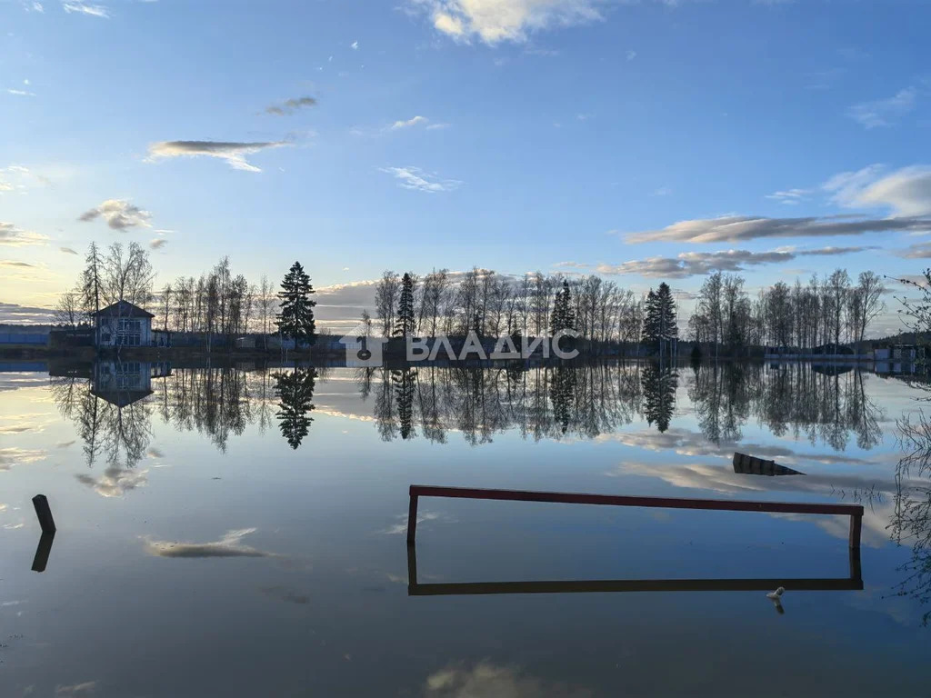 городской округ Истра, деревня Дедово-Талызино,  дом на продажу - Фото 39