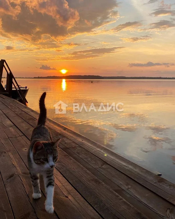 Гдовский район, деревня Сторожинец,  земля на продажу - Фото 5