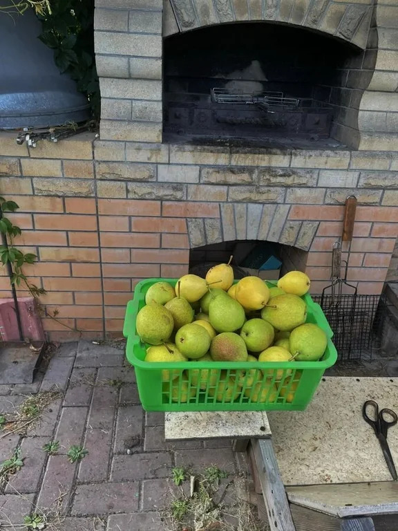 Продажа дома, Новопичугово, Ордынский район, ул. Школьная - Фото 16