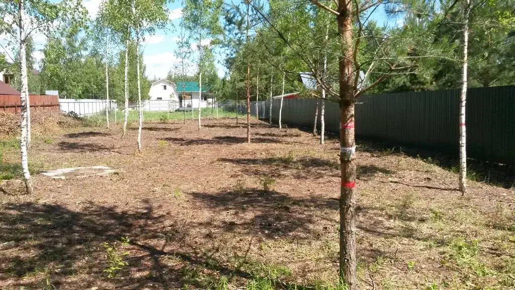 Снт энергетик электрогорск. Участки снт калинка. Участки снт калинка. Богатищево снт калинка. Участки снт калинка.