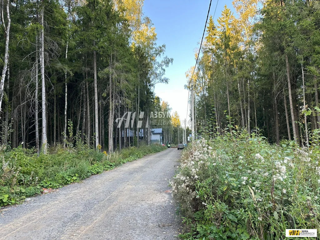 Продажа участка, Жилино, Богородский г. о. - Фото 8