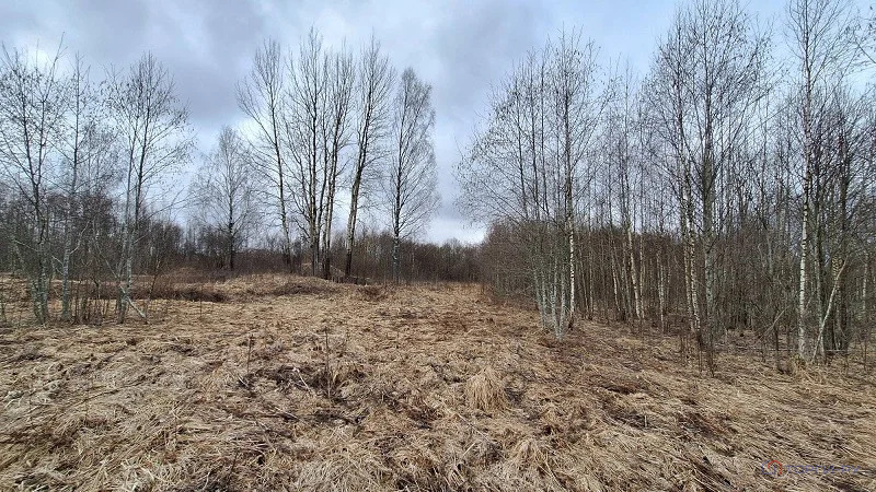 Продажа земельного участка, Давыдково, Зубцовский район - Фото 7