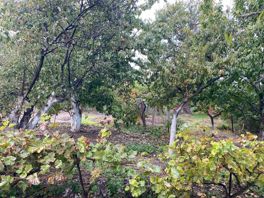 Продажа дома, Старотитаровская, Темрюкский район, ул. Ленина - Фото 4