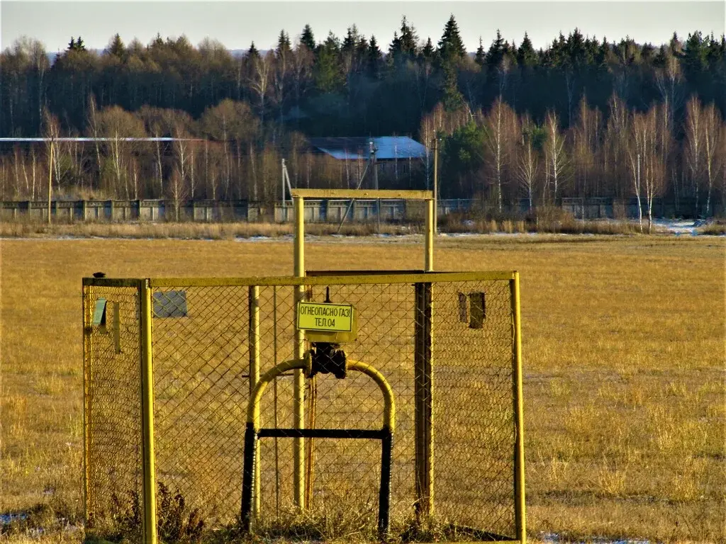 !00 соток рядом с Окой/ 50 тыс. за сотку. - Фото 1