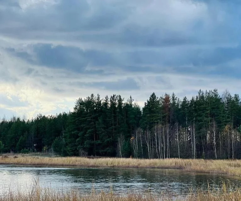 Столбище лесхозовская. Озеро Ковалинское. Столбище (озеро).