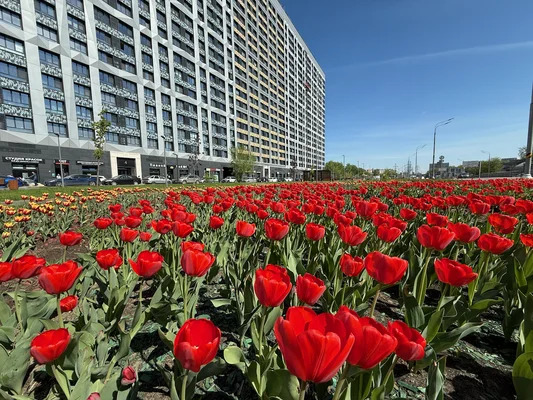 Продам однокомнатную (1-комн.) квартиру, Серебрякова проезд, 11к2, ... - Фото 1