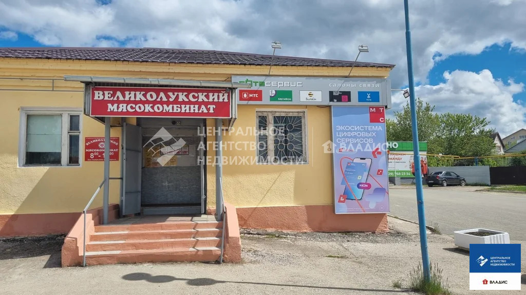 Аренда торгового помещения, Путятино, Путятинский район, ул. ... - Фото 12