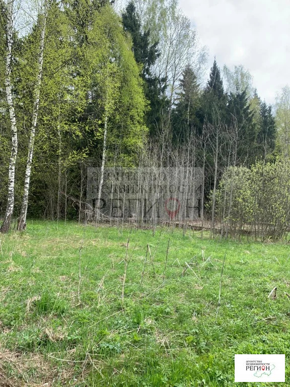 Продажа участка, Наро-Фоминский район, садоводческое некоммерческое ... - Фото 2