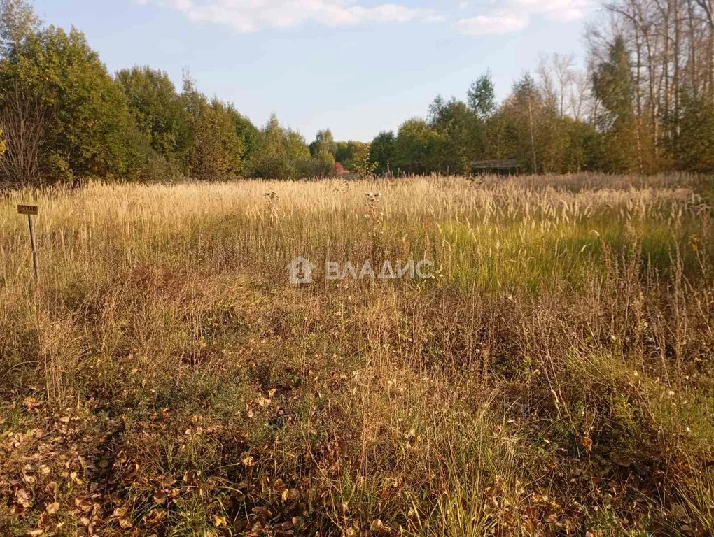 Суздальский район, СНТ Родник,  земля на продажу - Фото 2