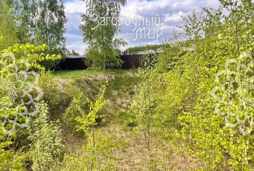 Продам участок, Новорижское шоссе, 60 км от МКАД - Фото 6