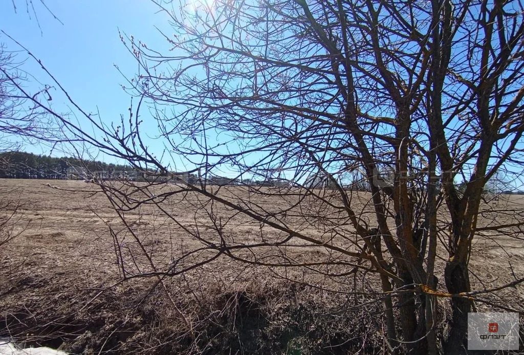 Продажа участка, Айша, Зеленодольский район, дом 118 - Фото 8