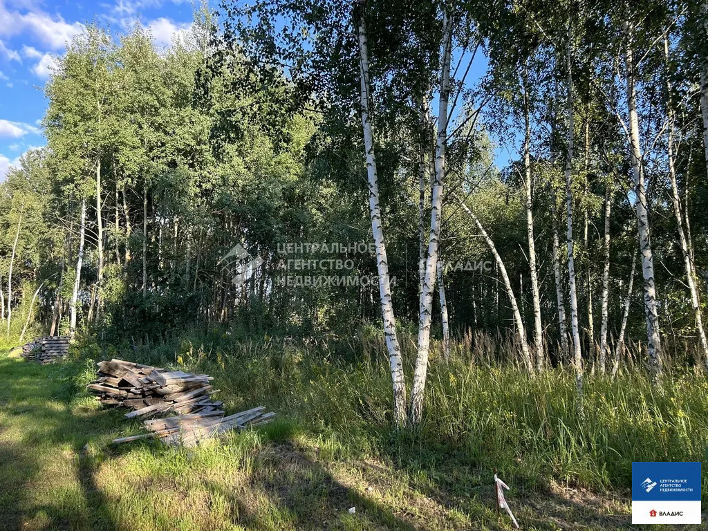Продажа участка, Дубровичи, Рязанский район - Фото 7