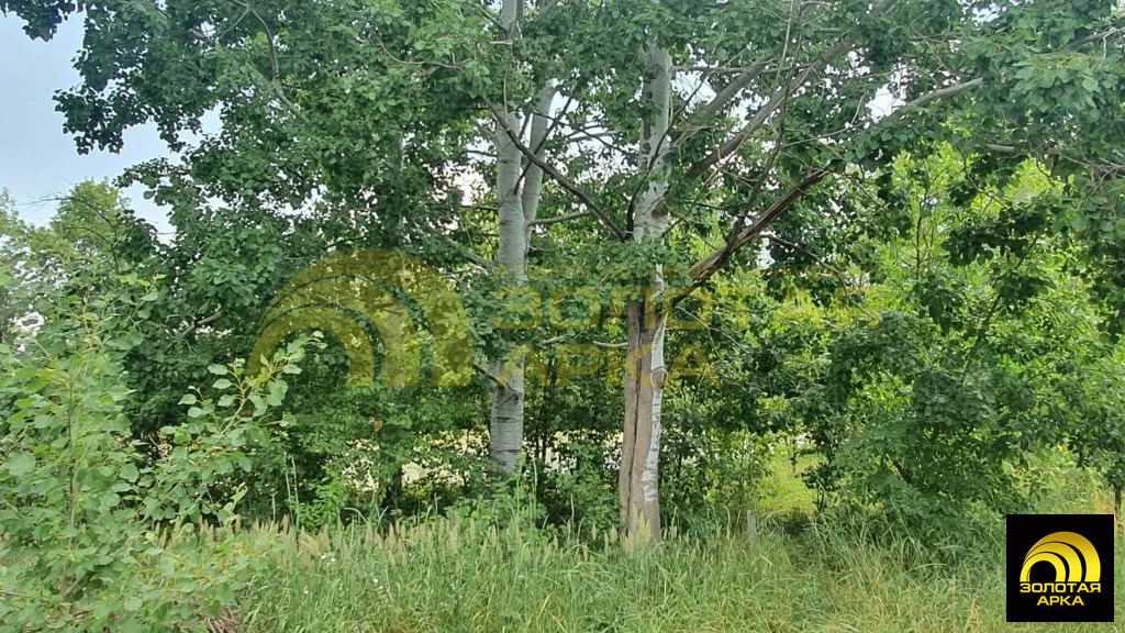 Продажа участка, Мингрельская, Абинский район, ул. Ростовская - Фото 2