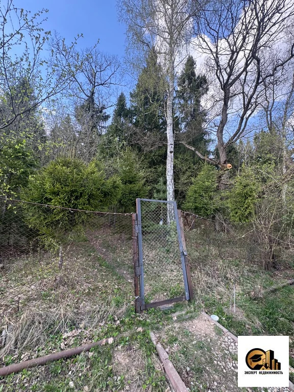 Продажа участка, СНТ Лукошкино - Фото 6