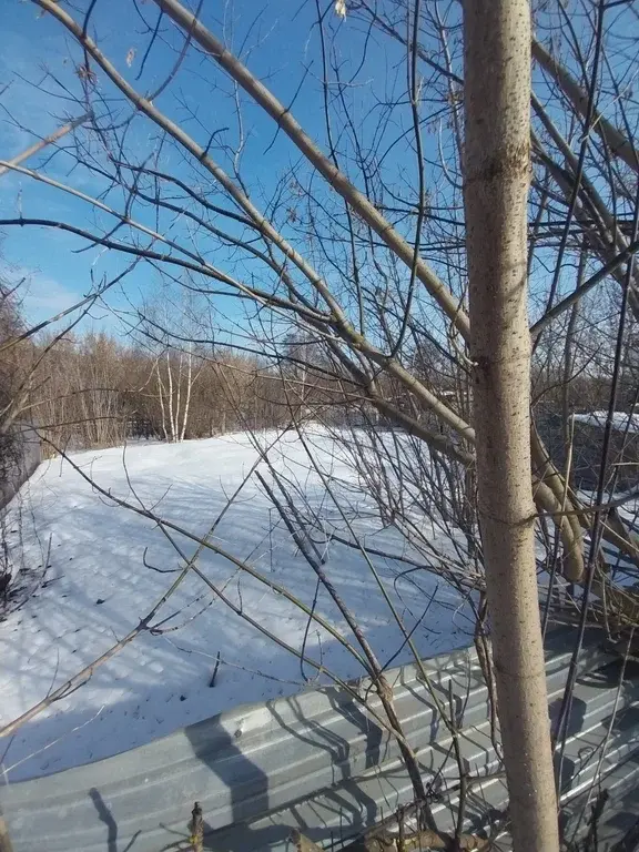 Участок 12 соток. д.Пехорка, Люберецкий р-н - Фото 3