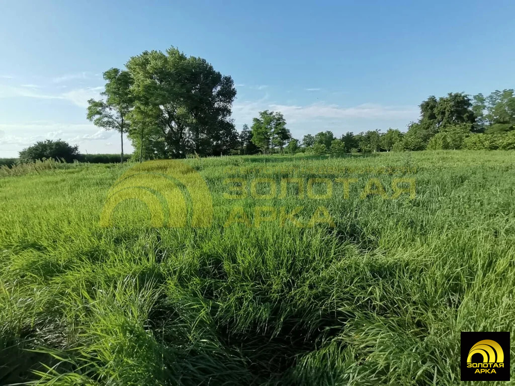 Продажа участка, Старонижестеблиевская, Красноармейский район - Фото 5