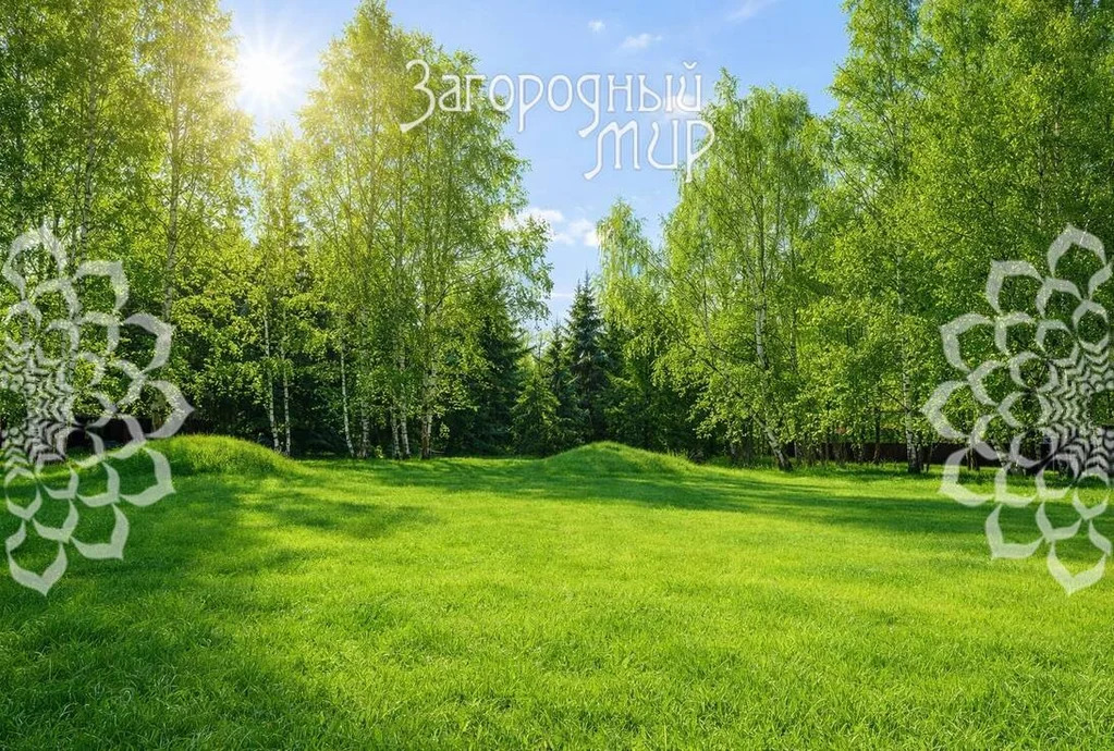 Продам участок, Новорижское шоссе, 28 км от МКАД - Фото 3