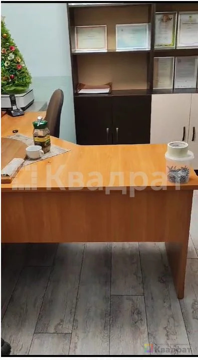 Меблированный офис с охраной и видеонаблюдением! - Фото 10