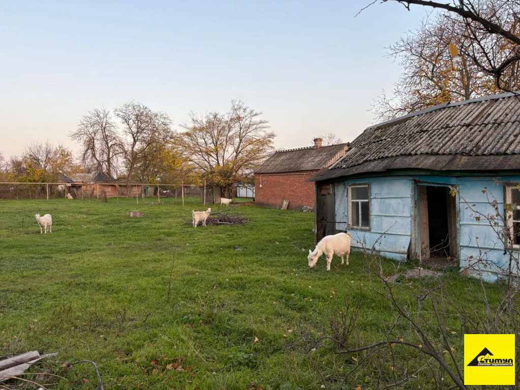 Продажа участка, Копанская, Ейский район, ул. Октябрьская - Фото 2