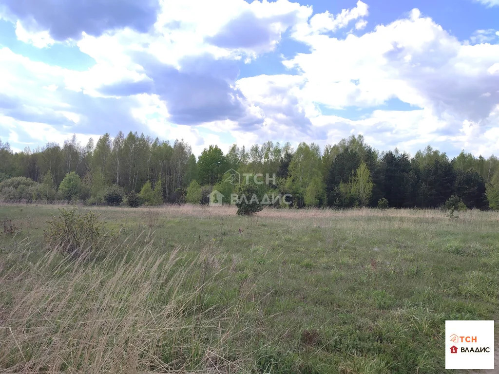 Продажа участка, Тимково, Богородский г. о. - Фото 3
