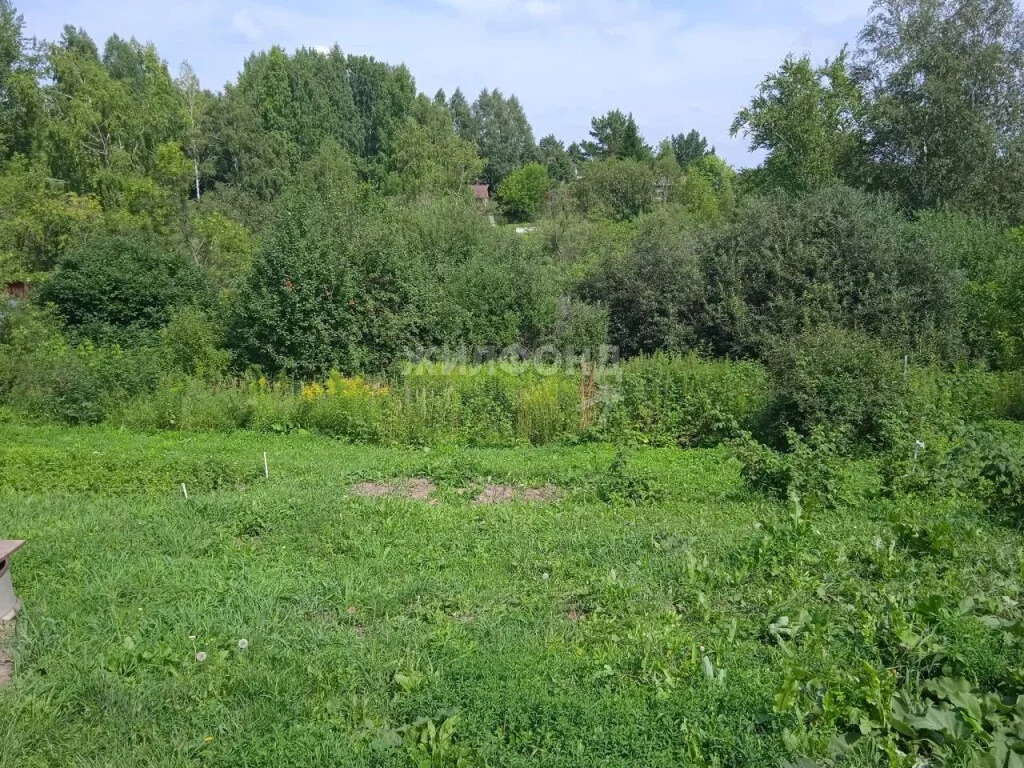 Продажа дома, Новосибирск, садовое товарищество Золотая горка - Фото 10