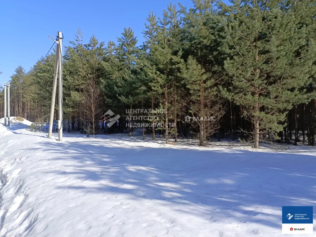 Продажа участка, Алеканово, Рязанский район - Фото 2