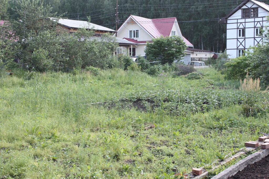 Купить Дачу В Днт Янтарь Екатеринбург