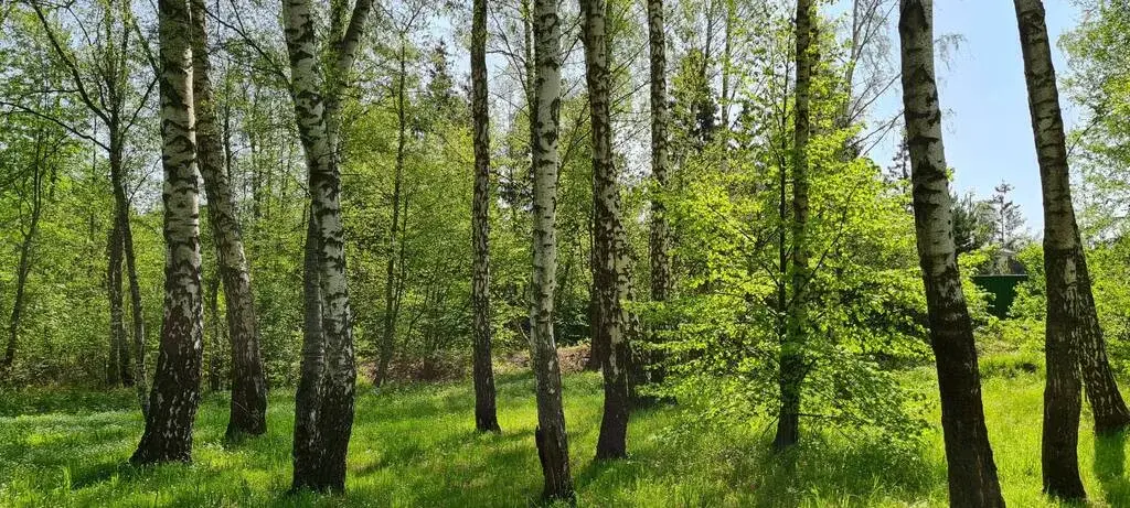 Рублево-Успенское ш. 18км. Охр КП «Бузаево» участок 33.6 соток ИЖС - Фото 11