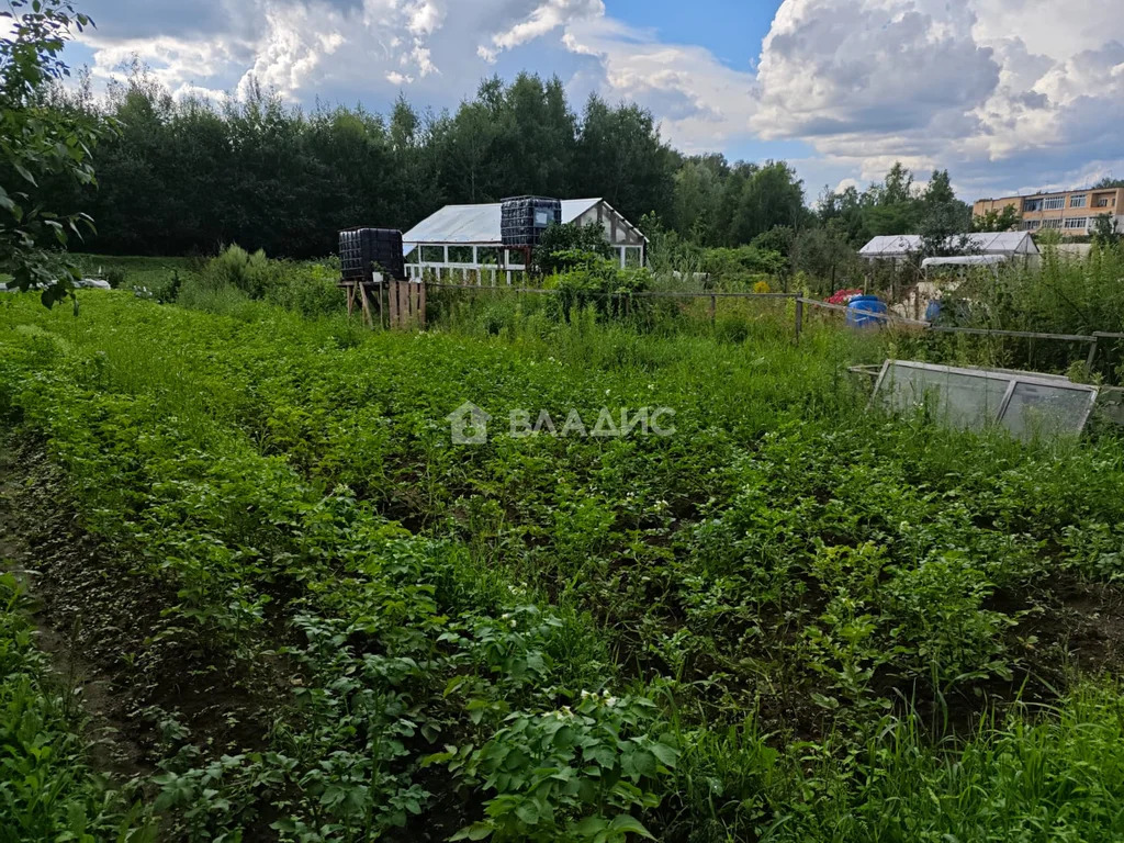 городской округ Лосино-Петровский, деревня Мизиново, Набережная улица, ... - Фото 5