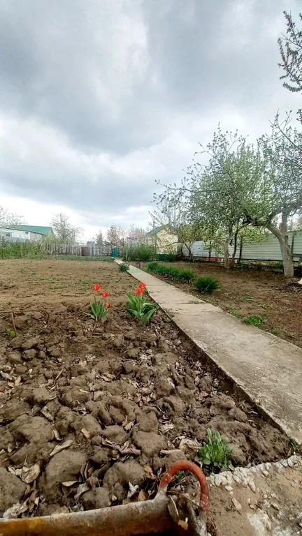 Продажа дома, Балаковский район, ТСН имени Мичурина тер. - Фото 12