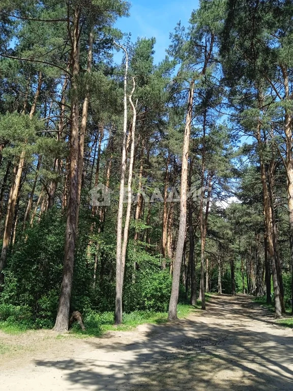 городской округ Котельники, Котельники, Кузьминская улица, д.19, ... - Фото 27