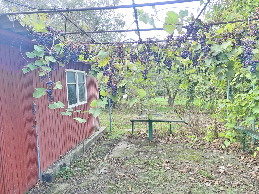 Продажа участка, Темрюк, Темрюкский район, ул. Анджиевского - Фото 2