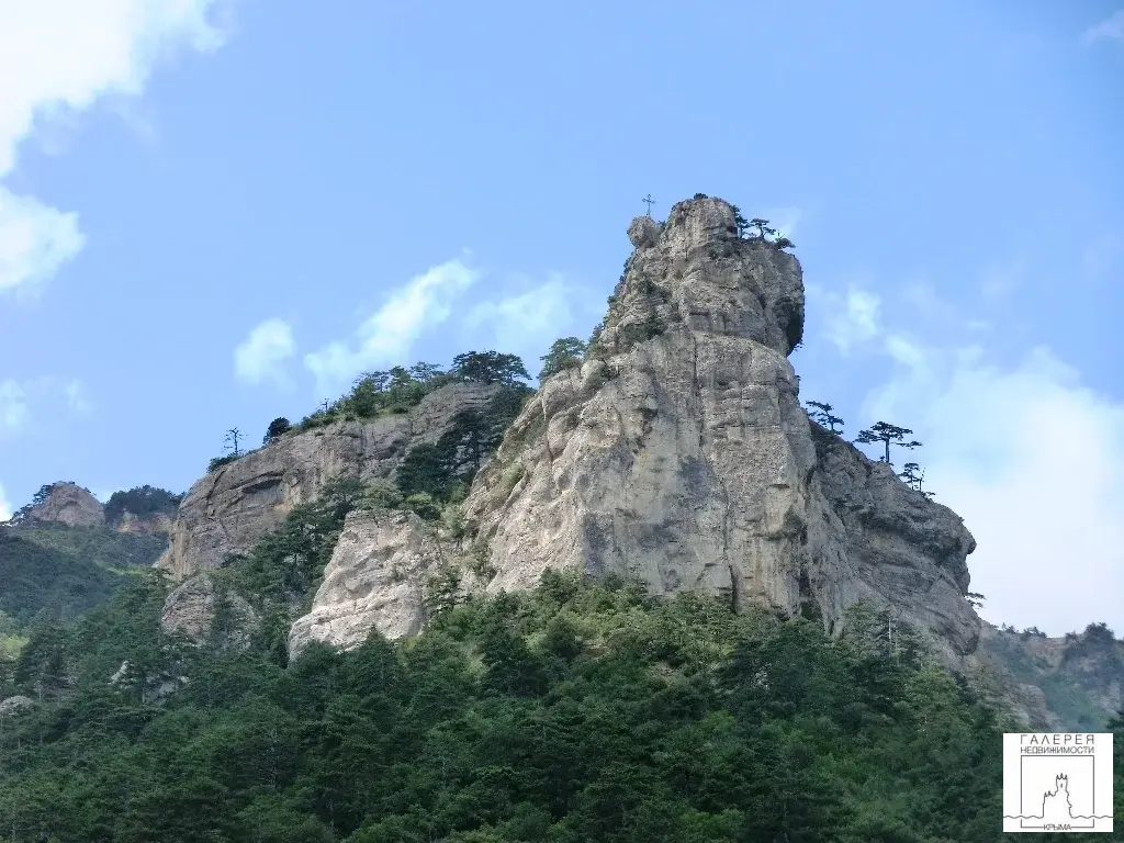 №4420 Дом в лесной зоне Ялты - Фото 23